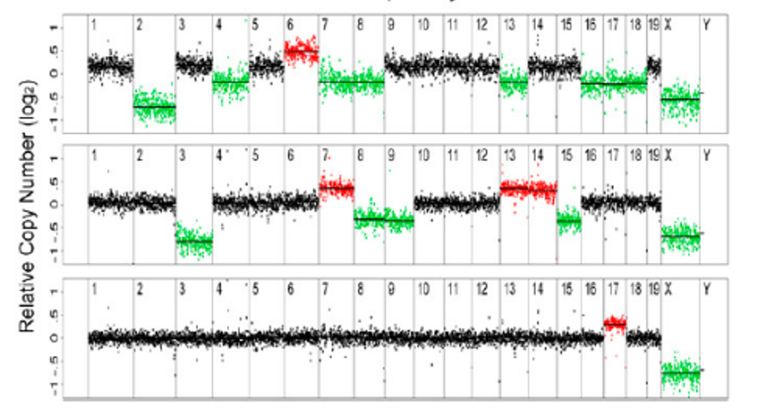 Copy Number Variants with Shallow Sequencing